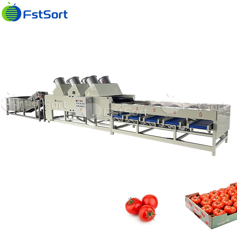 images/1772073518636tomato processing machine 拷贝.jpg